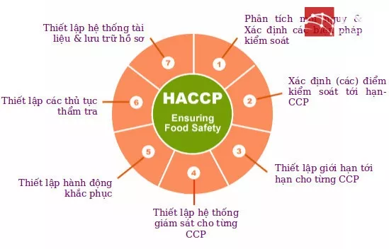 Bộ tiêu chuẩn HACCP
