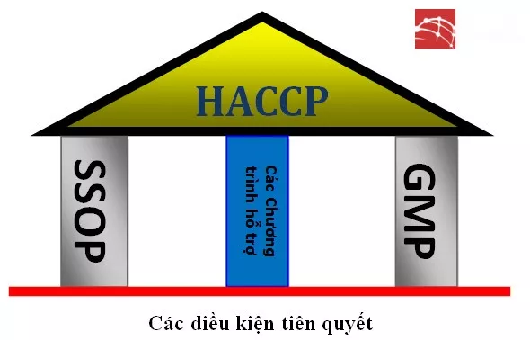 Mối quan hệ giữa GMP SSOP và HACCP