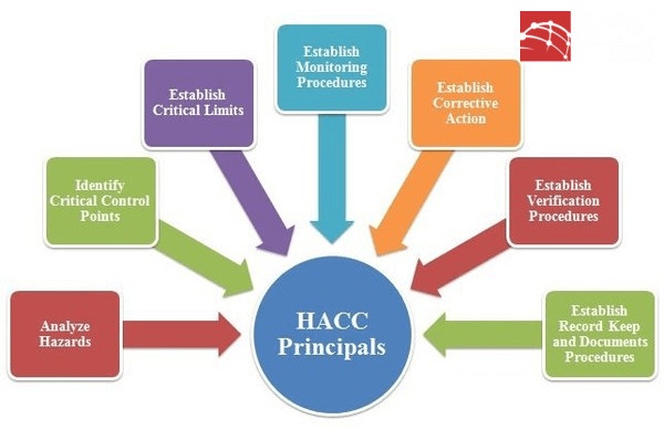 7 nguyen tac haccp - 7 nguyên tắc HACCP và chi tiết cách áp dụng
